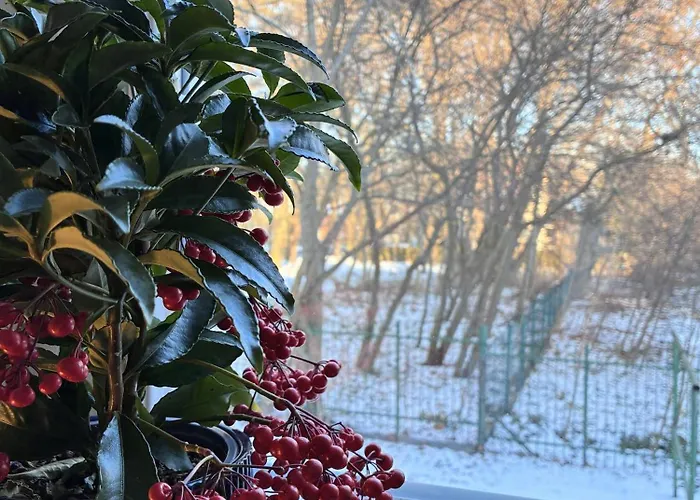 100m Od Morza סופוט