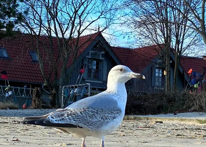 100m Od Morza דירה *