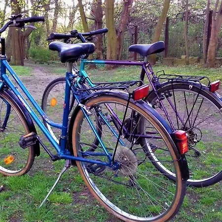 100m Od Morza Apartman